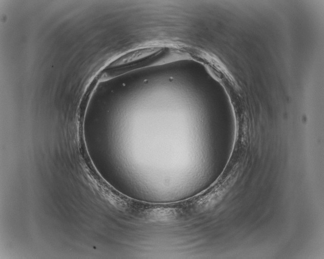 X0000067911268200604171330