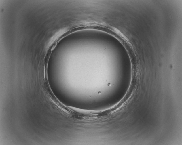 X0000067911269200604171330