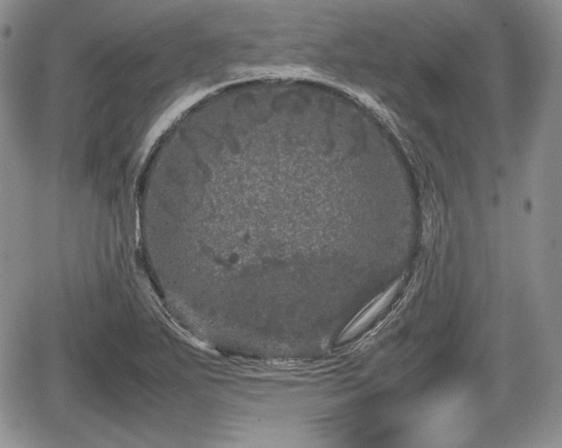 X0000067911271200604171329