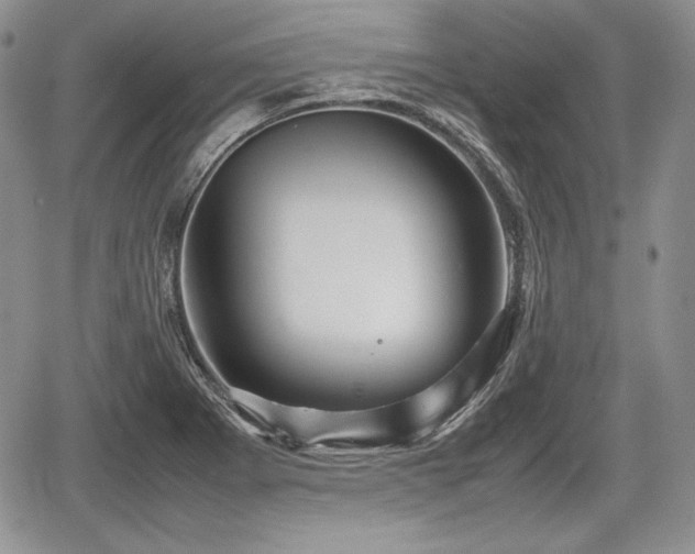 X0000067911273200604171329