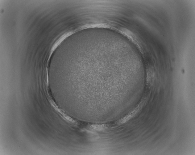 X0000067911274200604171329