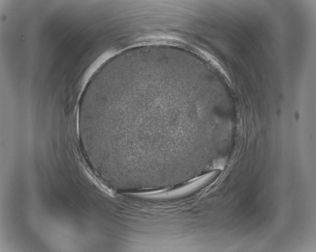 X0000067911275200604171329