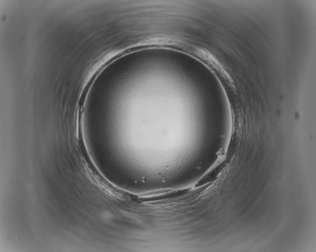 X0000067911276200604171329