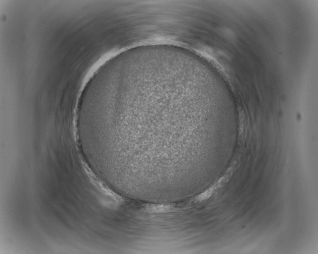 X0000067911278200604171329