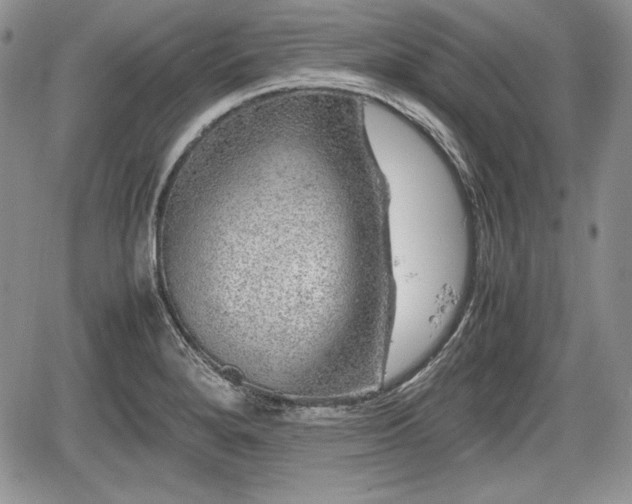 X0000067911280200604171329