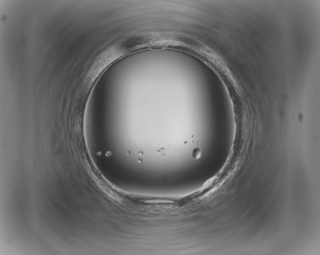 X0000067911281200604171329