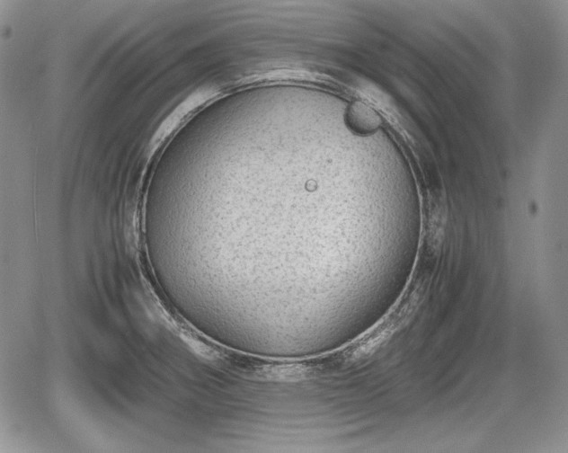 X0000067911282200604171329