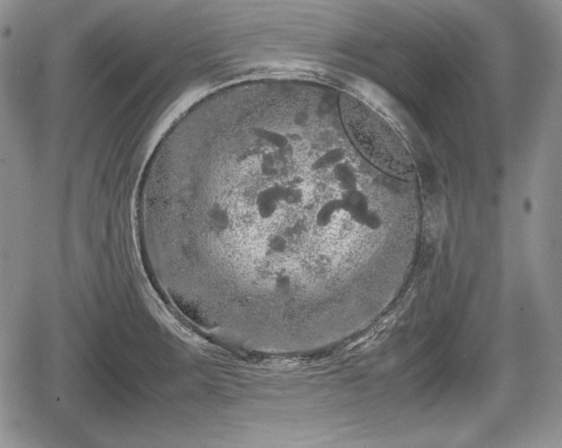 X0000067911283200604171329