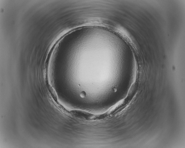 X0000067911284200604171329