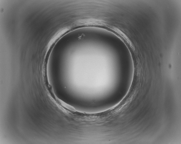 X0000067911285200604171329