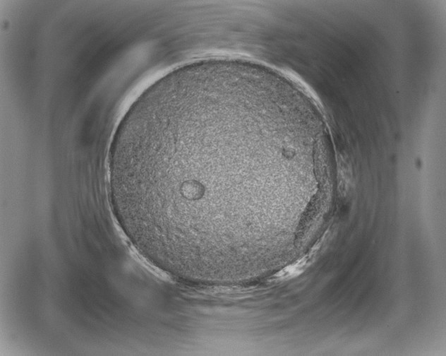 X0000067911287200604171329