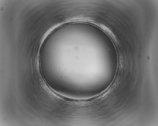 X0000067911288200604171329