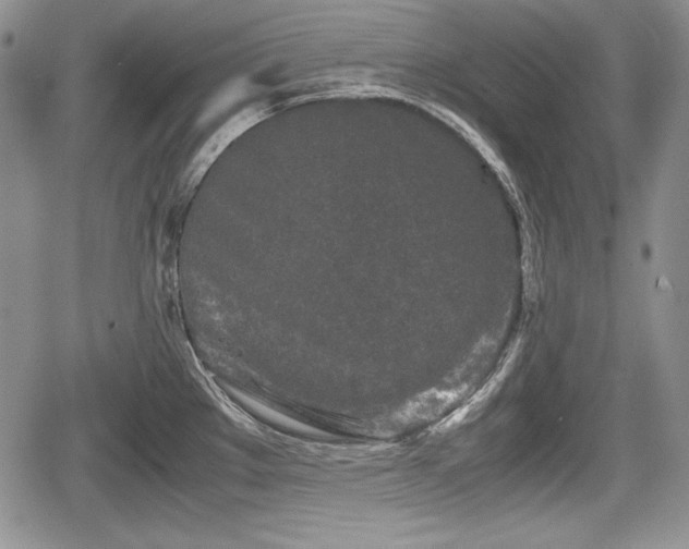 X0000067911289200604171329