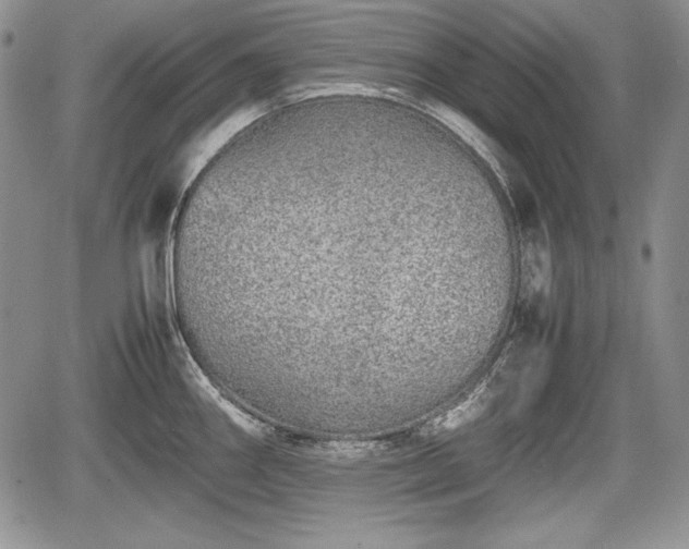 X0000067911290200604171329