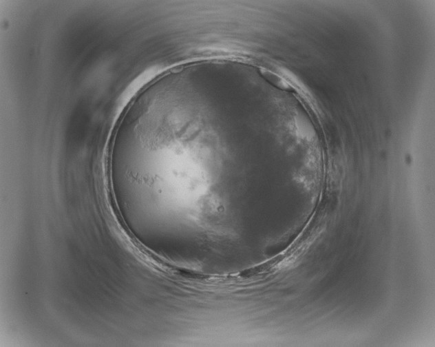 X0000067911291200604171329