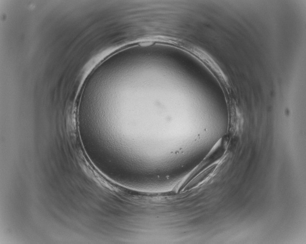 X0000067911292200604171329