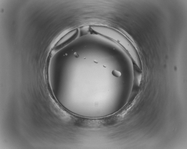 X0000067911293200604171329