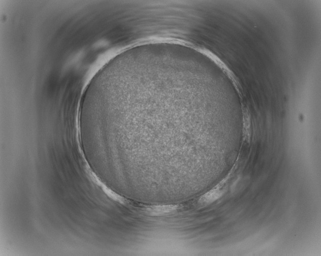 X0000067911294200604171329