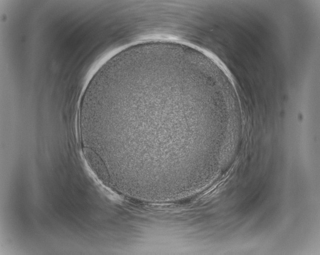 X0000067911295200604171329