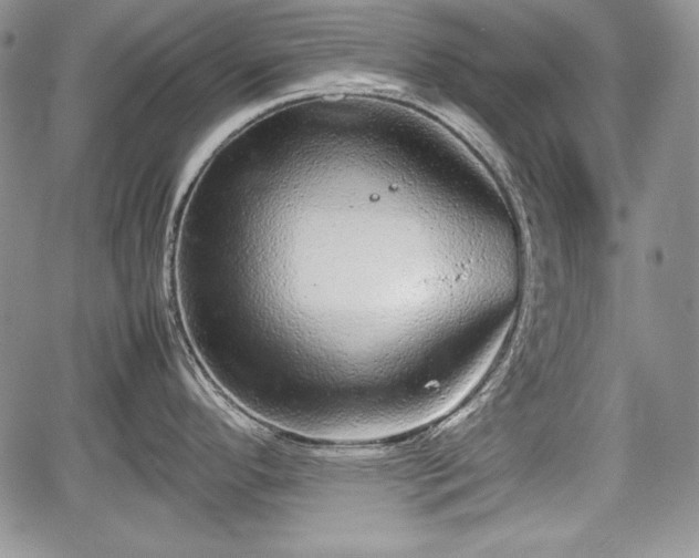 X0000067911296200604171329