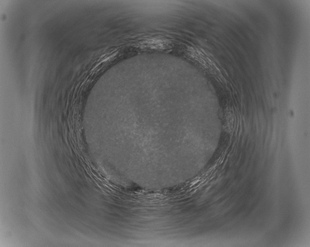 X0000067911297200604171328