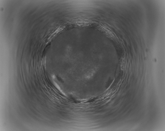 X0000067911298200604171328