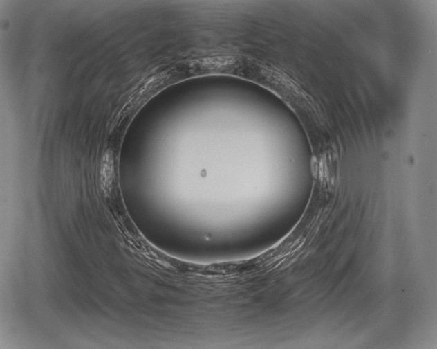 X0000067911299200604171328