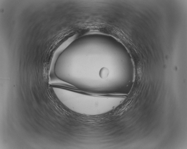 X0000067911300200604171328