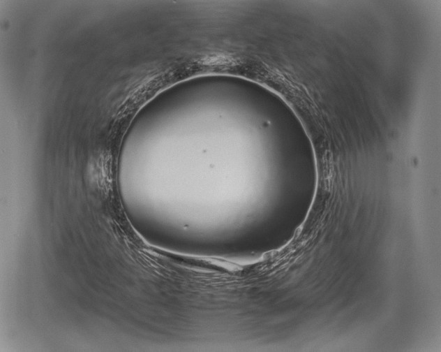 X0000067911301200604171328