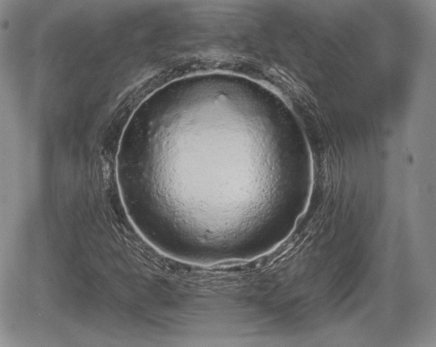 X0000067911302200604171328