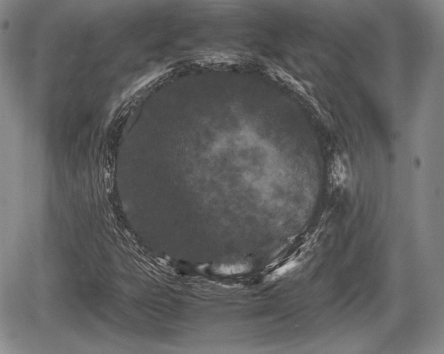 X0000067911303200604171328