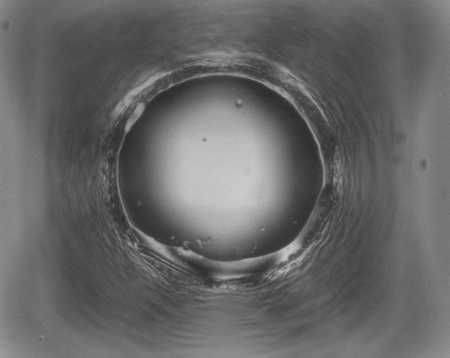 X0000067911304200604171328