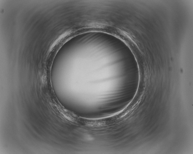 X0000067911307200604171328