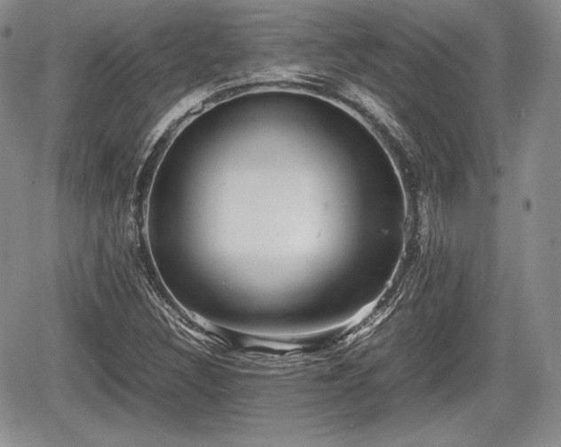 X0000067911308200604171328