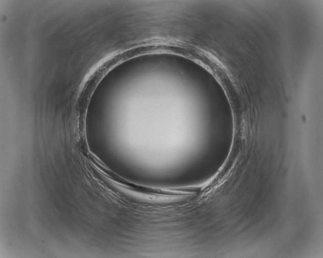 X0000067911310200604171329