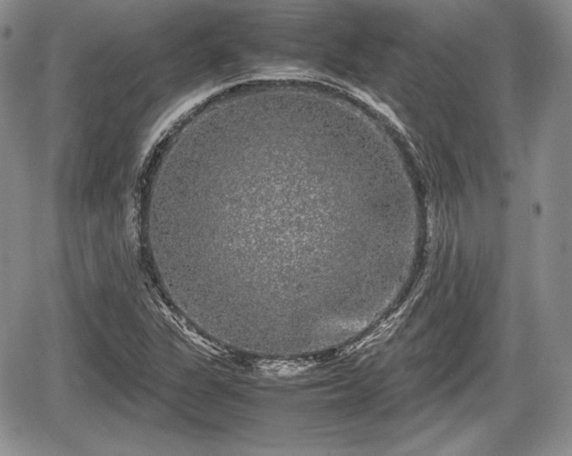 X0000067911311200604171329