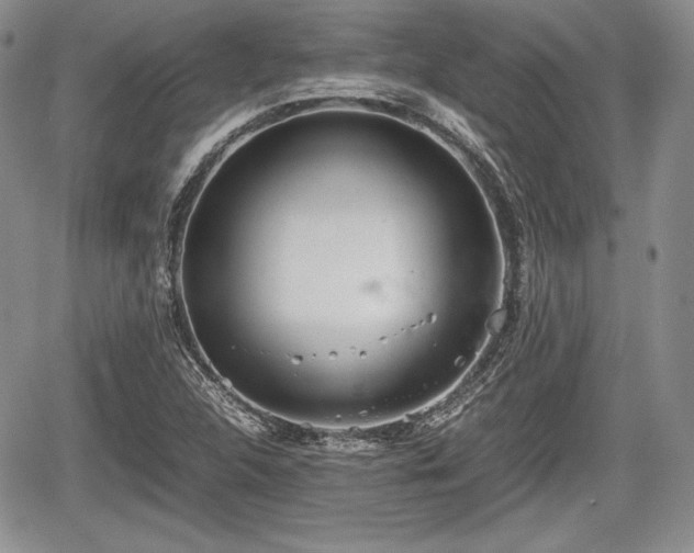 X0000067911312200604171329