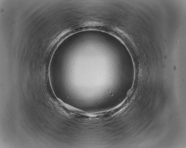 X0000067911313200604171329