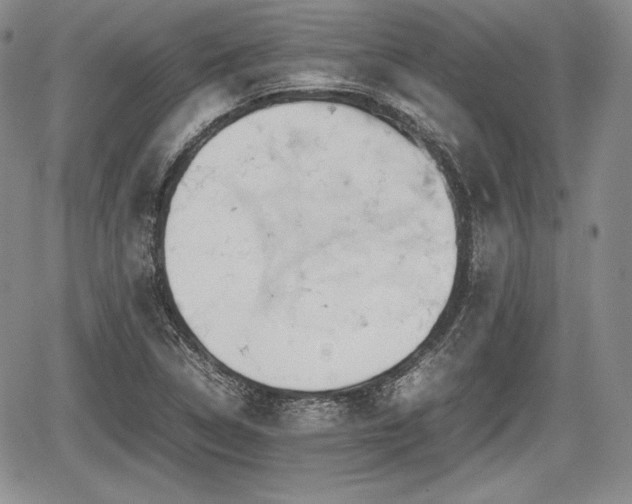 X0000067911314200604171329