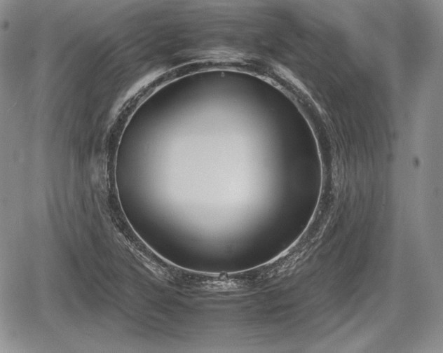 X0000067911315200604171329