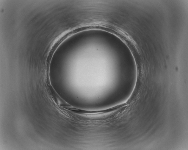 X0000067911316200604171329