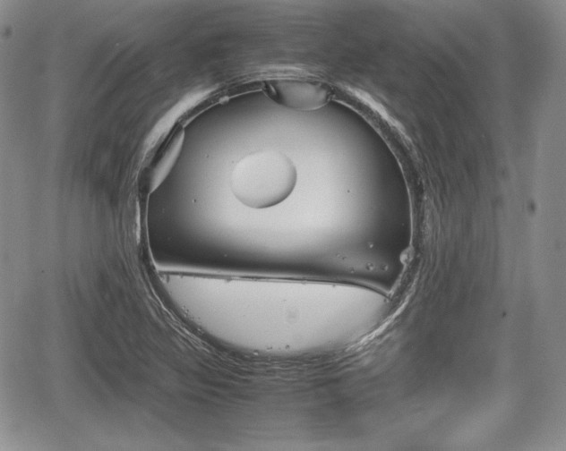 X0000067911317200604171329