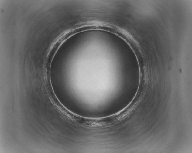 X0000067911318200604171329