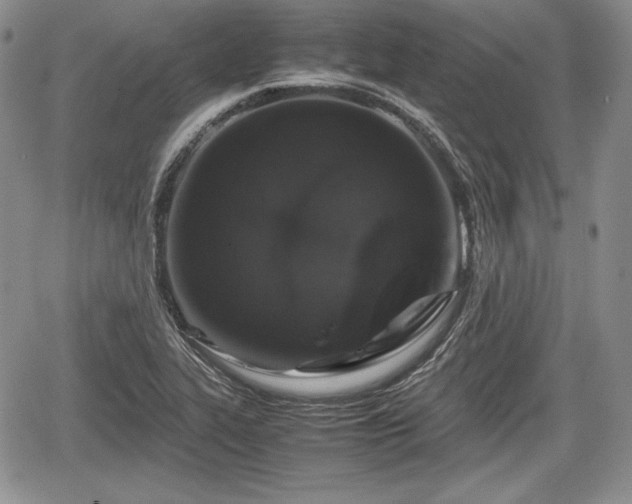 X0000067911319200604171329