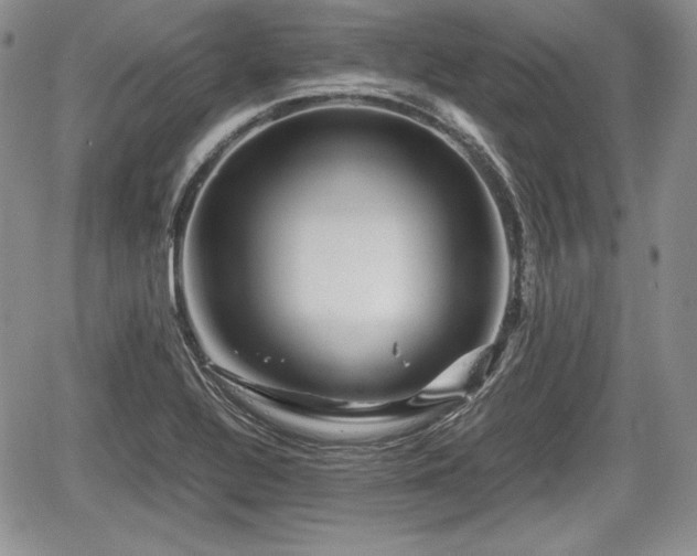 X0000067911320200604171329