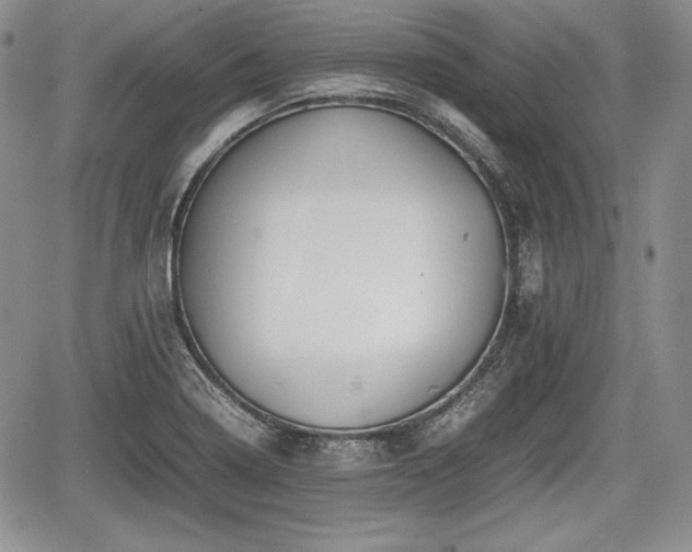 X0000067911322200604171329