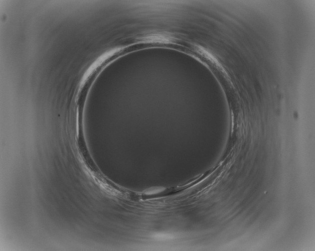 X0000067911323200604171329