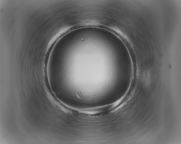 X0000067911325200604171329