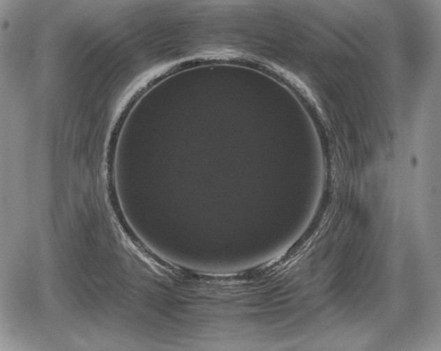 X0000067911327200604171329