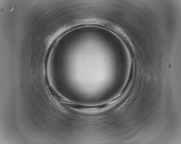 X0000067911328200604171329